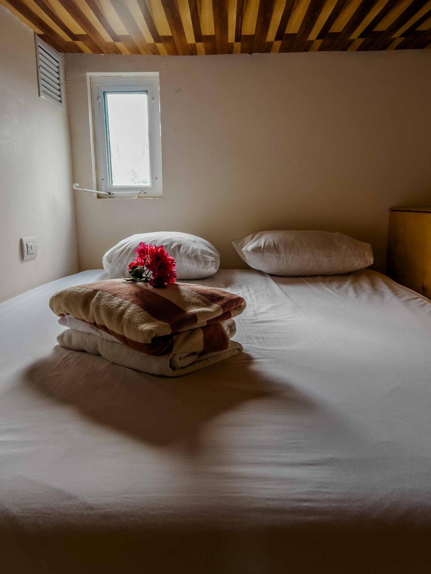Oostel Smart Hostel - Tulum Pueblo (Adults Only) 外观 照片