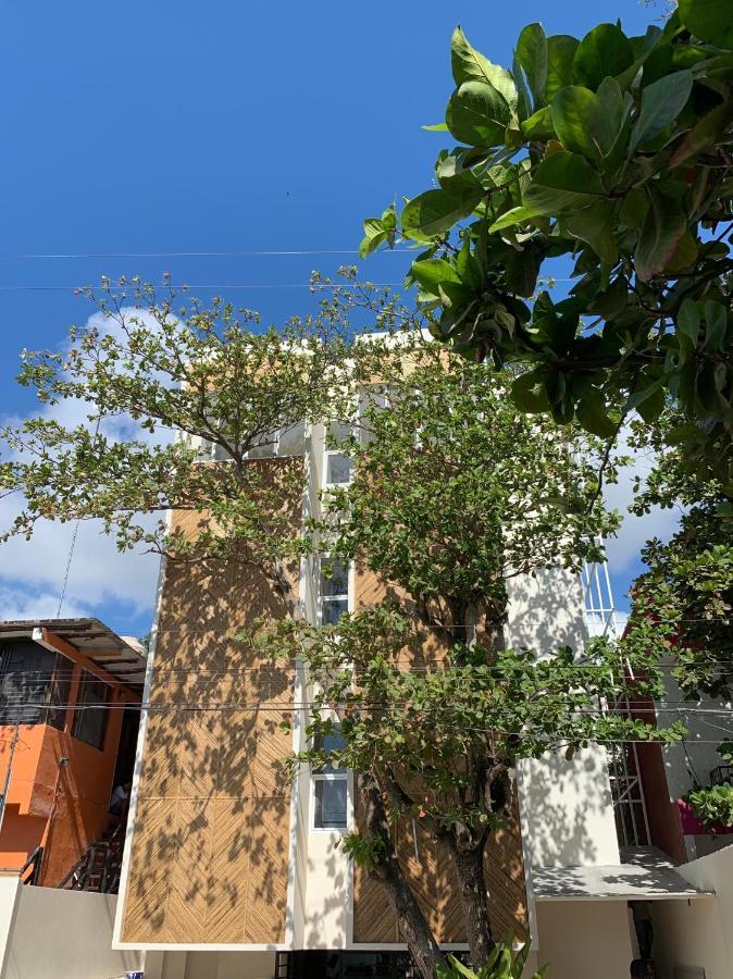 Oostel Smart Hostel - Tulum Pueblo (Adults Only) 外观 照片