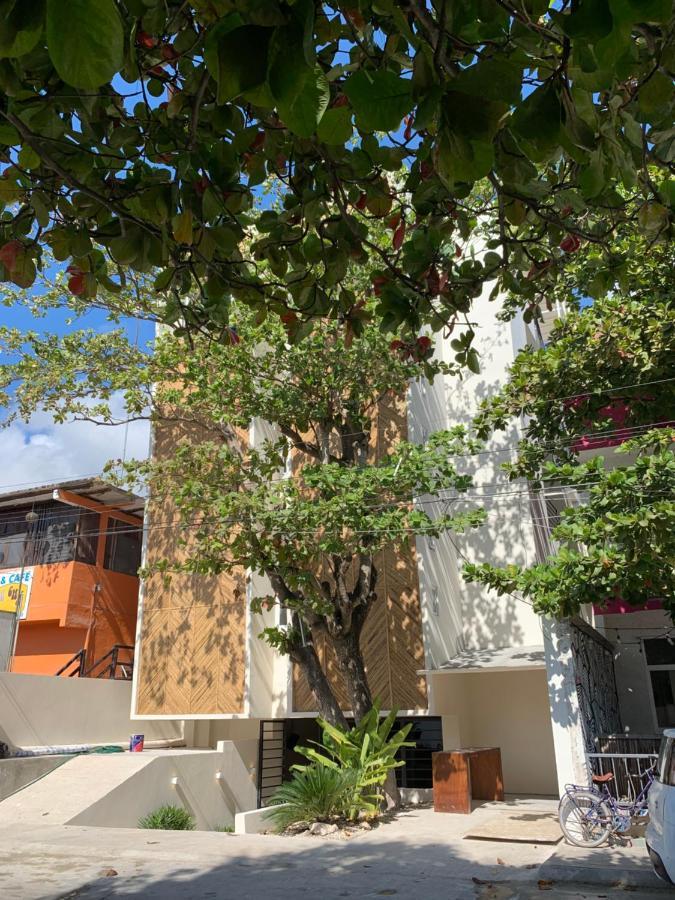 Oostel Smart Hostel - Tulum Pueblo (Adults Only) 外观 照片